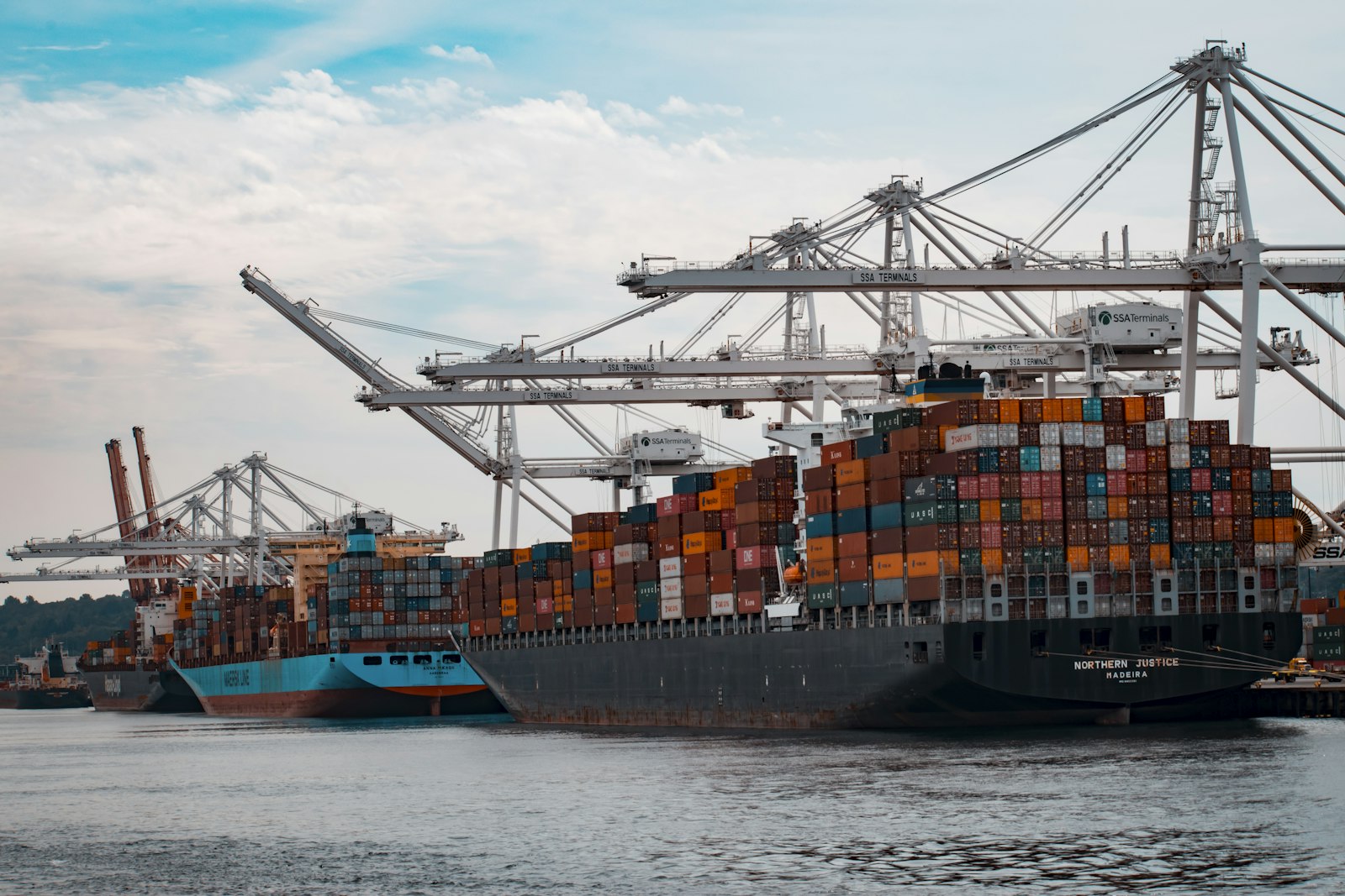 Sea freight FCL and LCL container shipping from China to USA Europe
